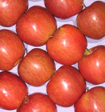 Raccolta mele, anticipo storico di 10-15 giorni